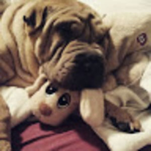 Meet your Posher, Kristen